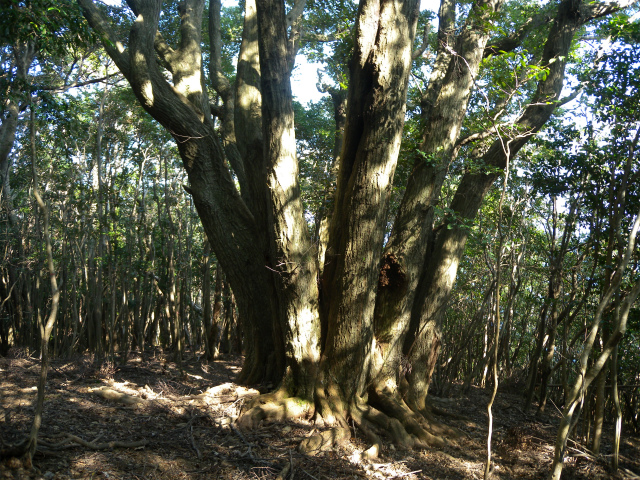 e0272335_18522861.jpg