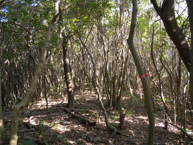 e0272335_1893338.jpg