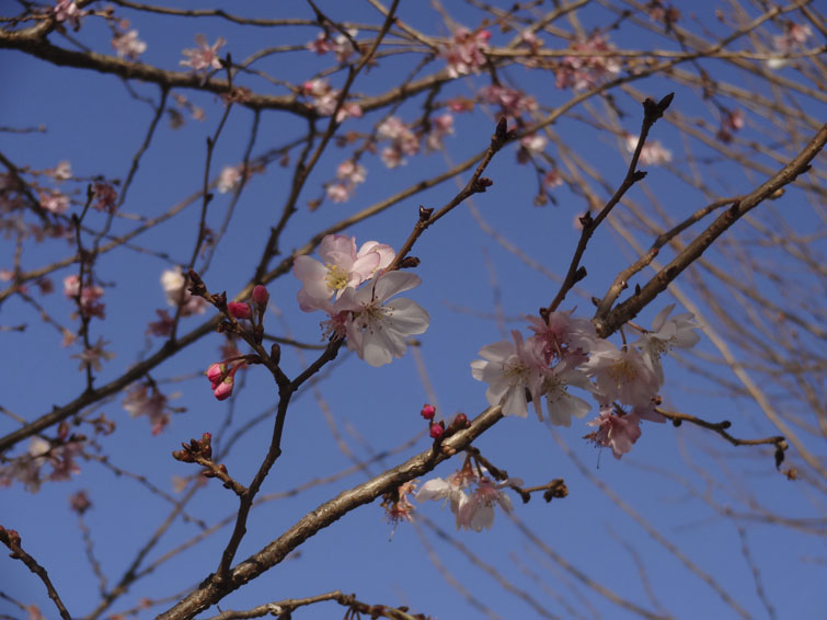 b0042837_61031100.jpg