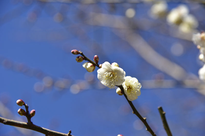 b0042837_6161426.jpg