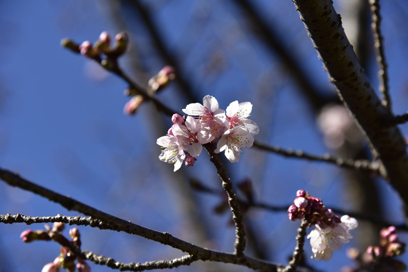 b0042837_617549.jpg