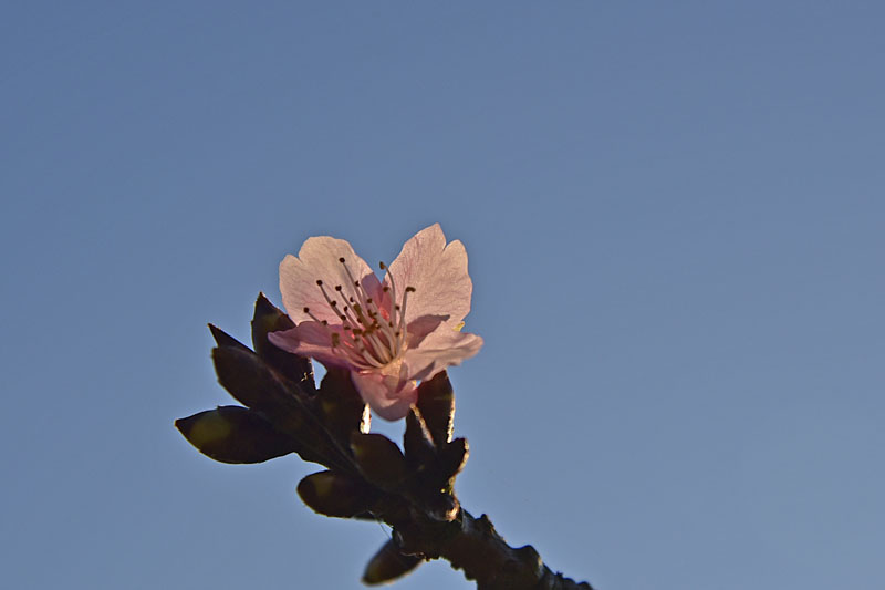 b0042837_6403829.jpg