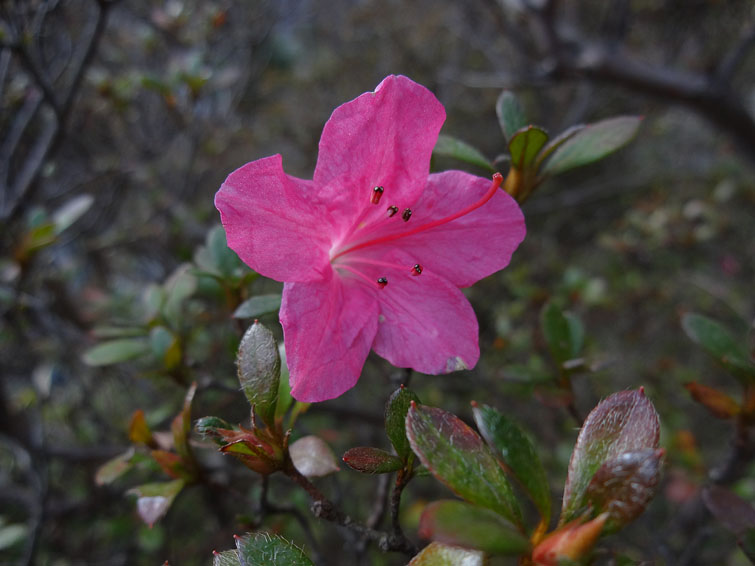 b0042837_642799.jpg
