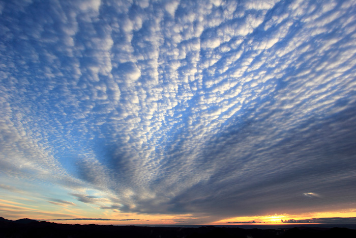 e0083238_2043392.jpg