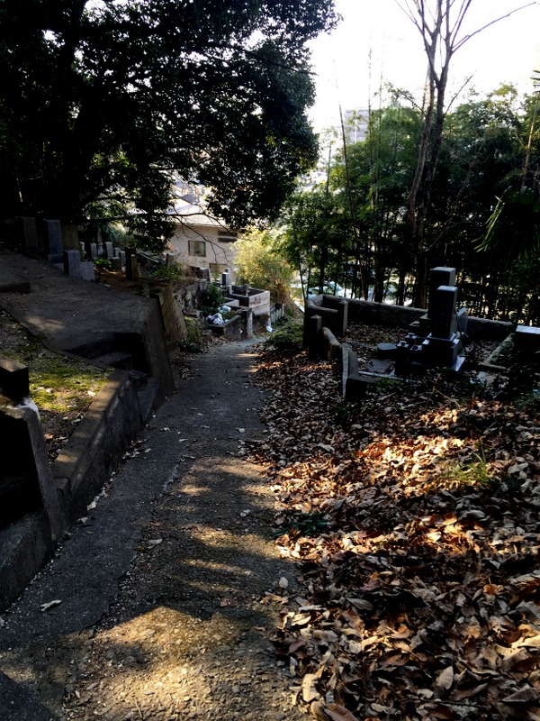 b0057140_2143157.jpg