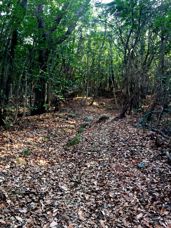 b0057140_2144821.jpg
