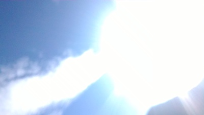 d0194741_9581055.jpg