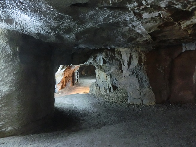 a0237349_16592328.jpg