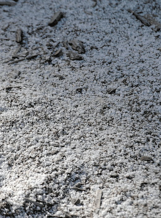 a0001354_23395257.gif