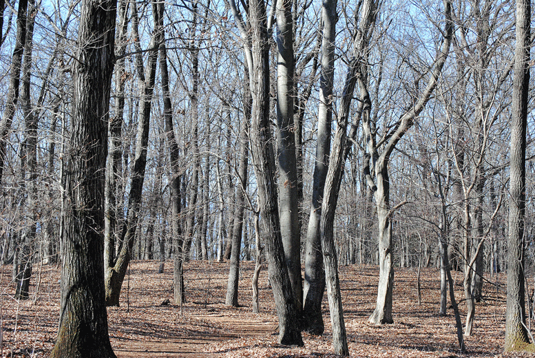 a0001354_23453835.gif