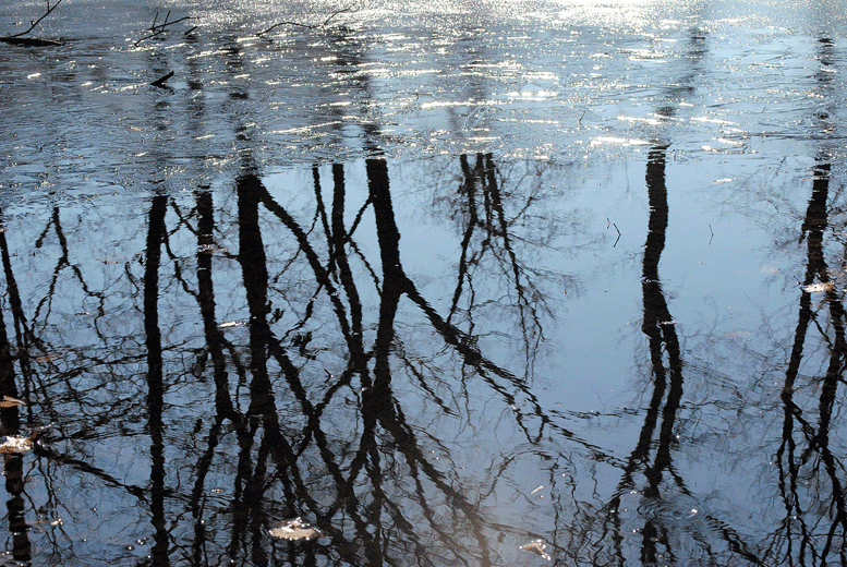 a0001354_2347190.gif