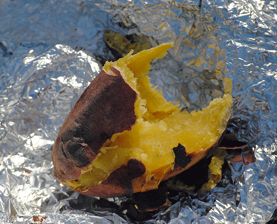 a0001354_23495970.gif