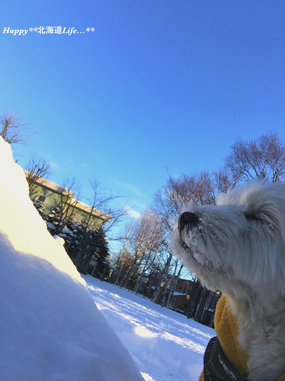 a0337860_00284085.jpeg