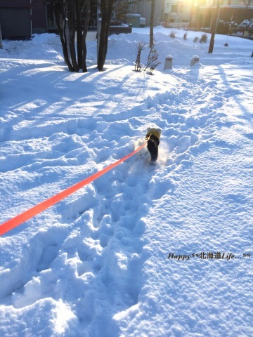 a0337860_00291644.jpeg