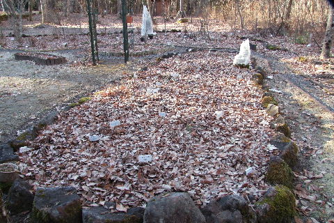 e0088260_11155943.jpg