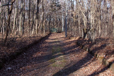 e0088260_11165757.jpg