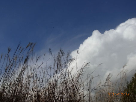 b0075364_1146404.jpg