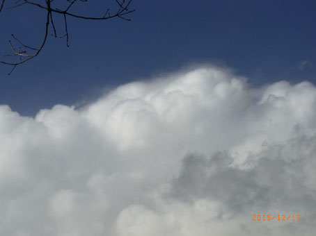 b0075364_11464664.jpg
