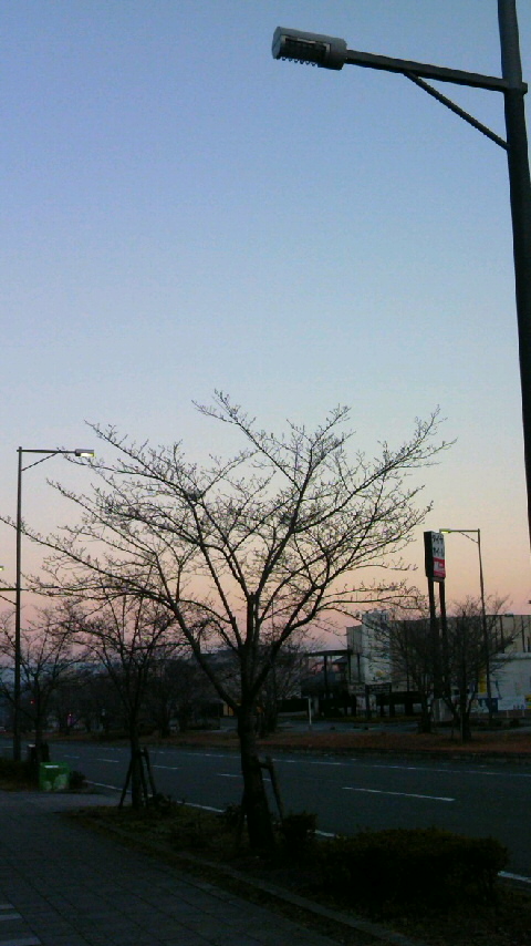 b0155370_16453834.jpg