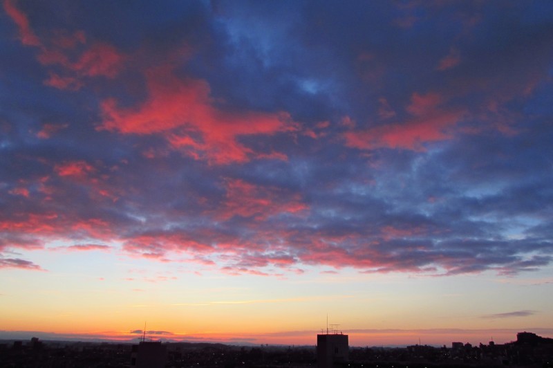 b0326576_11383100.jpg