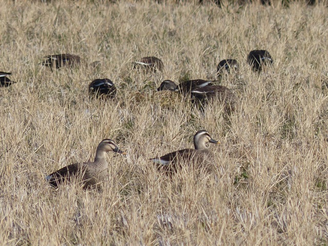 f0357487_2249248.jpg