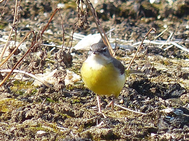 f0357487_22575917.jpg