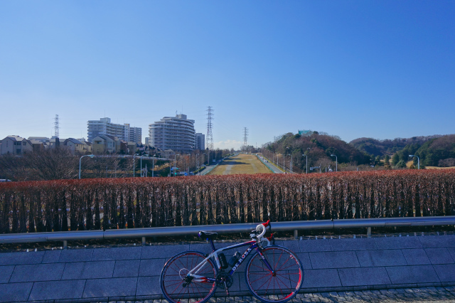 d0081997_18562690.jpg