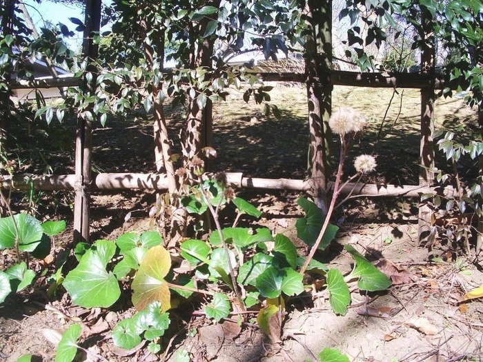 e0025300_2055791.jpg