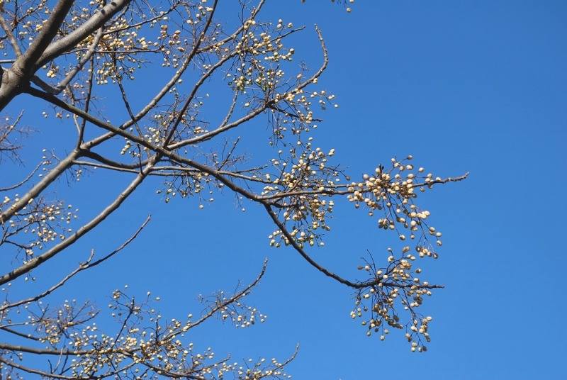 e0025300_2102353.jpg