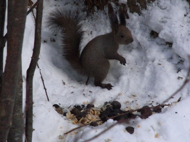 f0157901_22303320.jpg