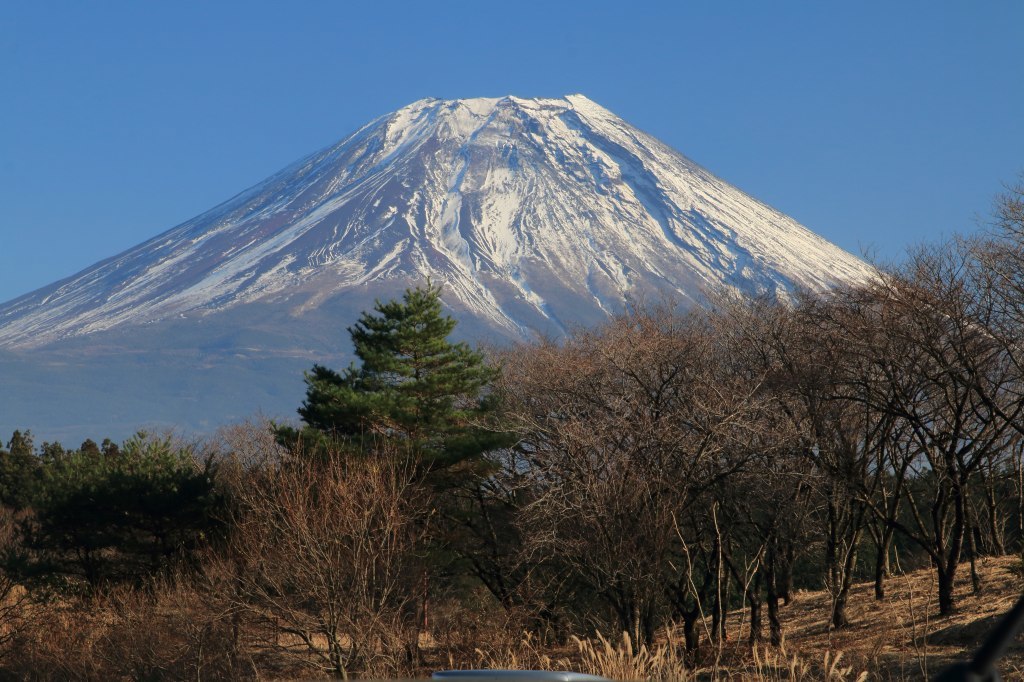 a0188405_14463521.jpg