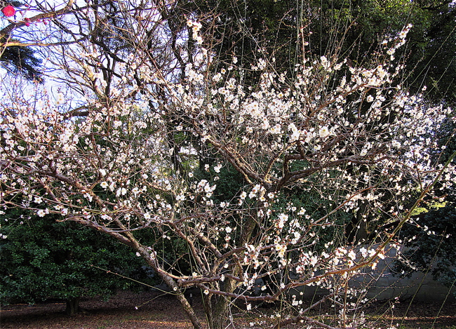 a0164011_18493390.jpg