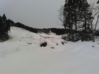 c0359615_20103534.jpg