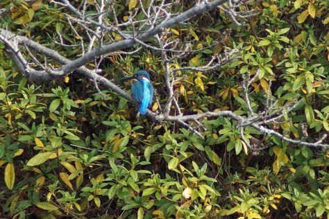 c0042418_1671725.jpg