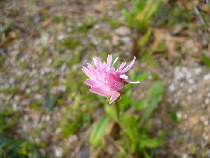 f0228619_10312431.jpg