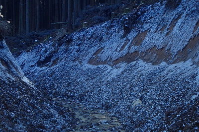 f0193521_4522499.jpg