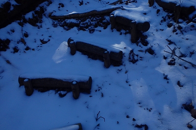 f0193521_4554371.jpg