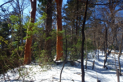 f0193521_544391.jpg