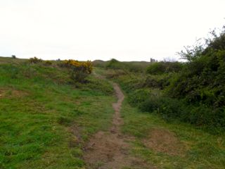 e0074833_20303980.jpg