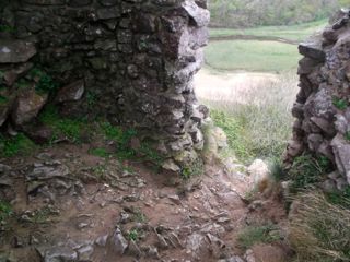 e0074833_20373869.jpg