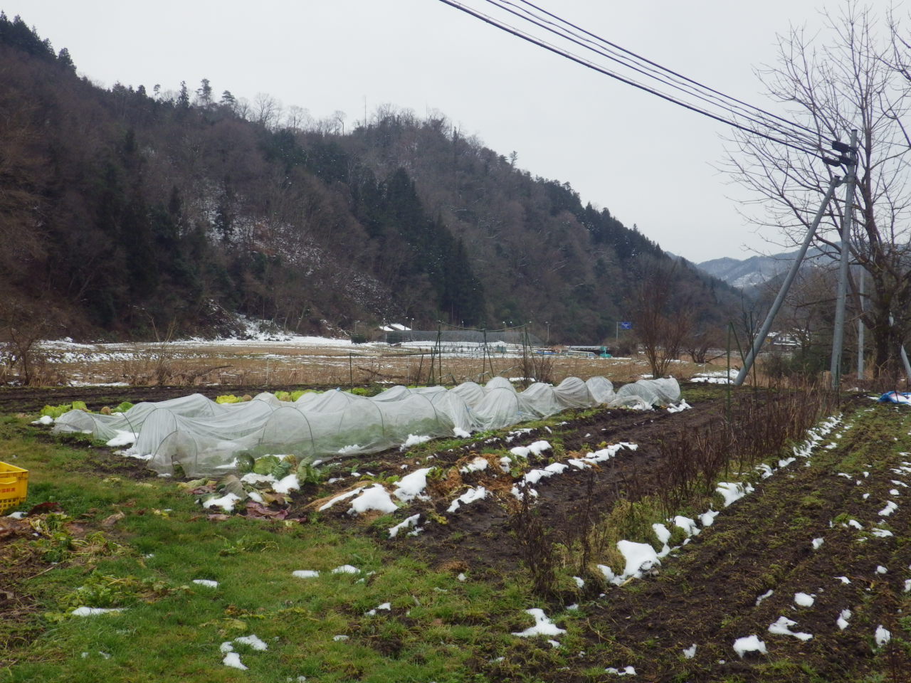 c0300035_12594398.jpg