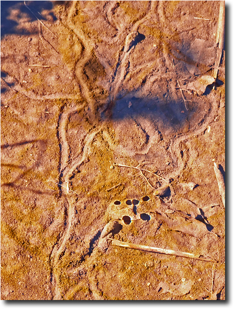 d0091147_9343357.jpg