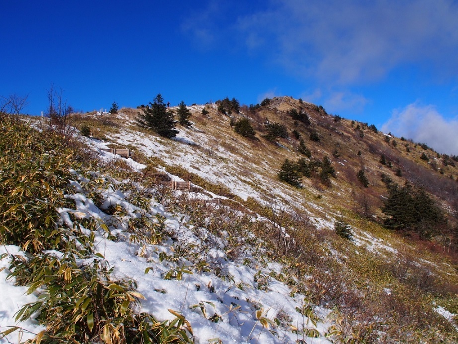 b0335256_23015900.jpg