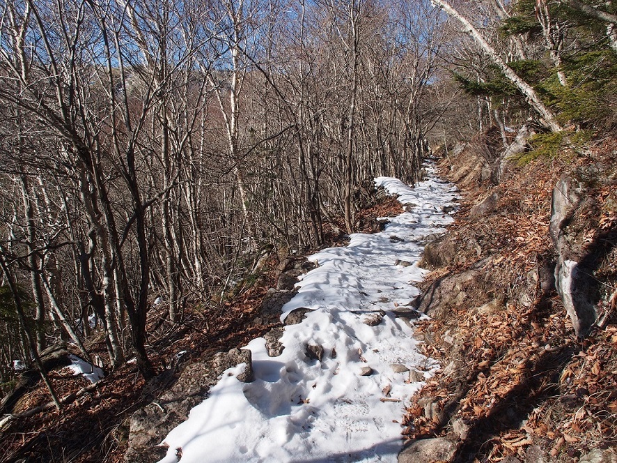 b0335256_23065776.jpg