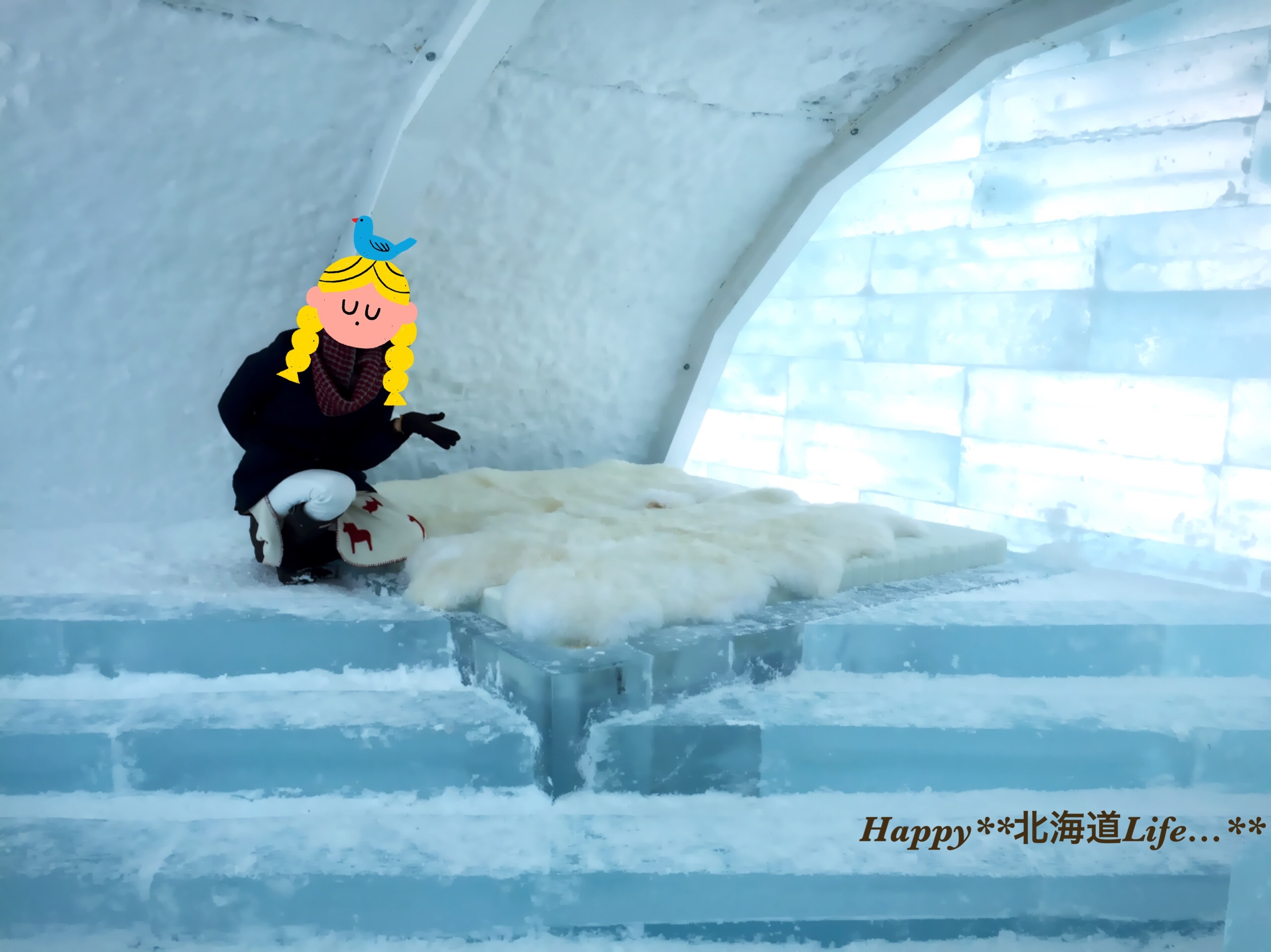 a0337860_21445621.jpeg