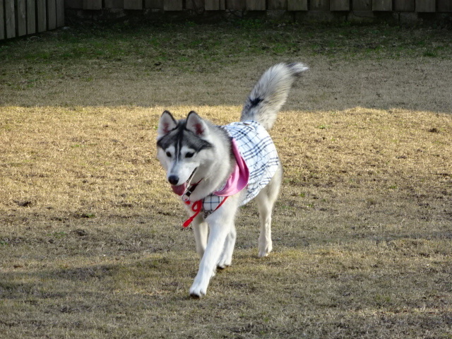 a0241761_14015885.jpg