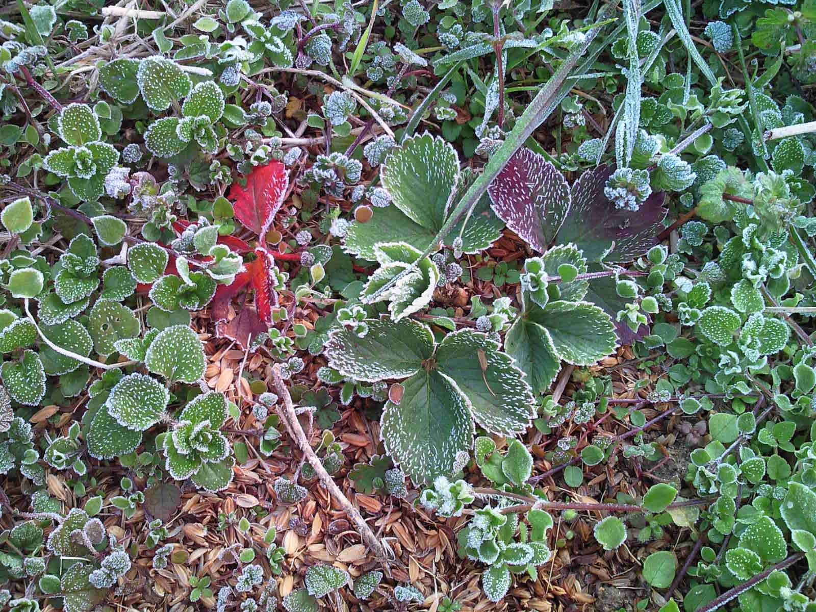 b0139862_0335680.jpg