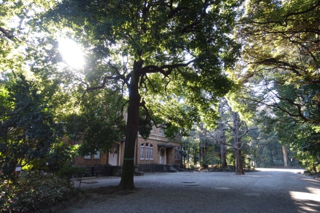 c0008664_11401324.jpg