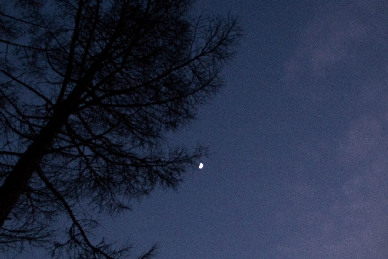c0260264_16404255.jpg