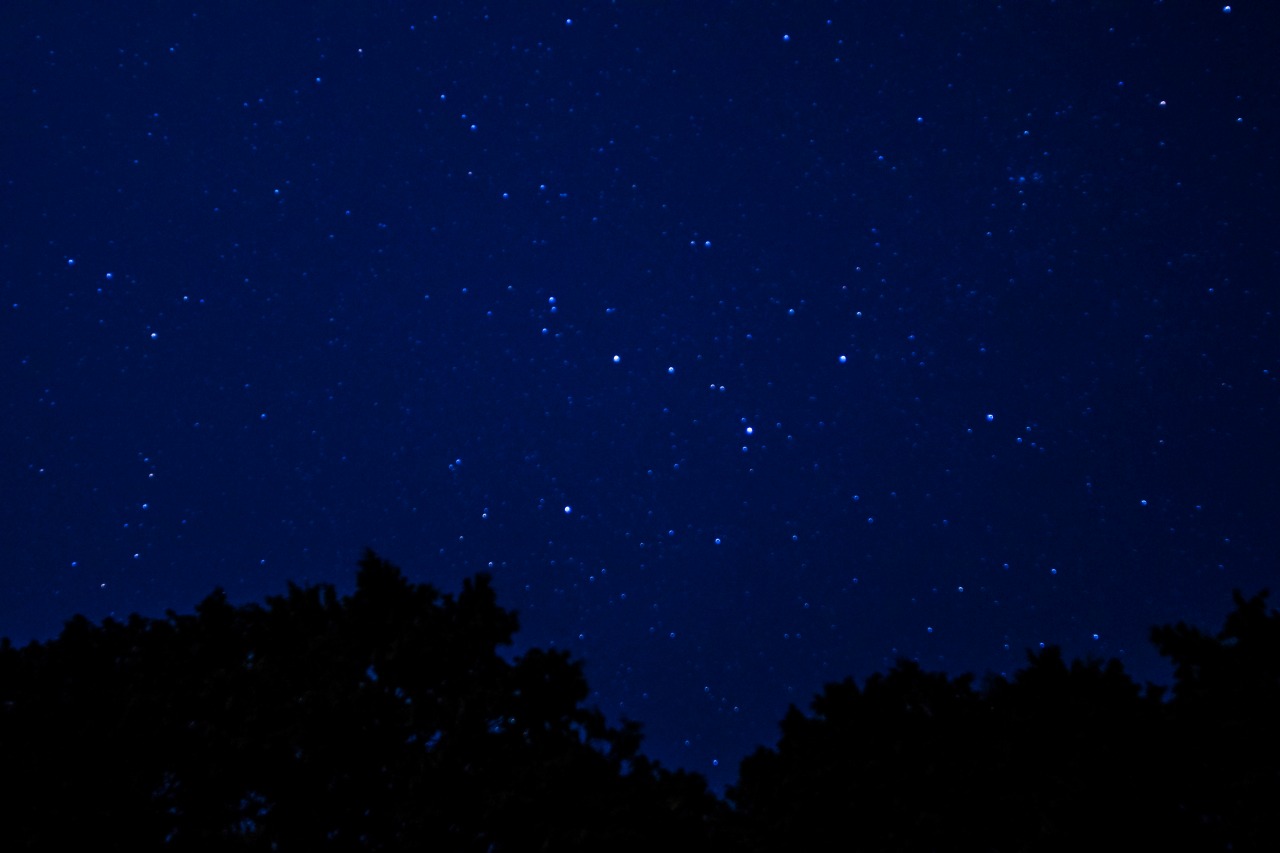 c0260264_16442550.jpg